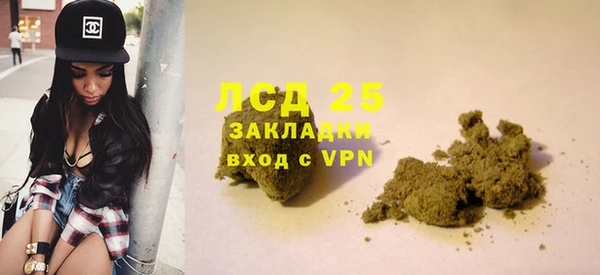 гашик Богданович