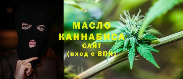 мдпв Бородино