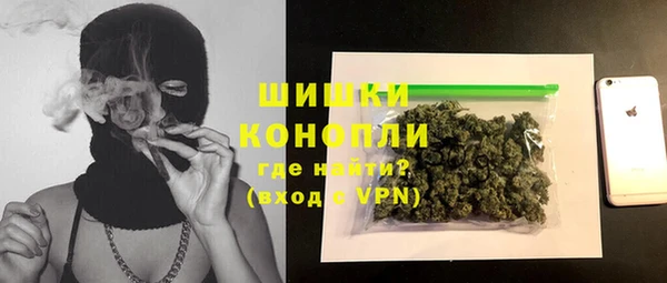 гашик Богданович