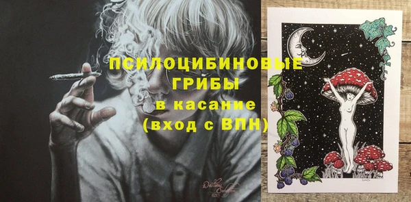 гашик Богородицк
