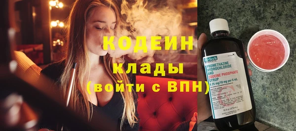 гашик Богданович