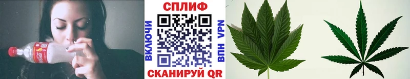 где найти   Дубна  Бошки марихуана семена 